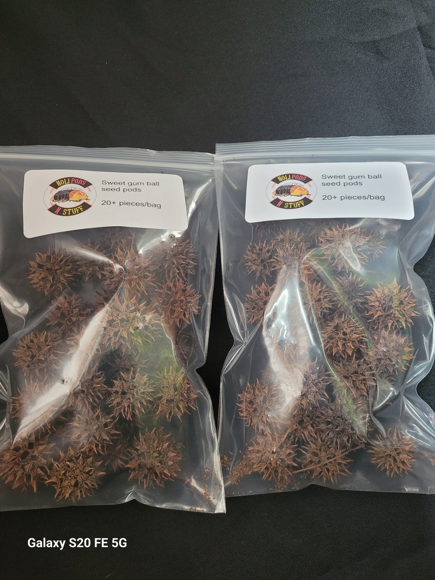 (2) 20+ packs of sweet gum ball seed pods