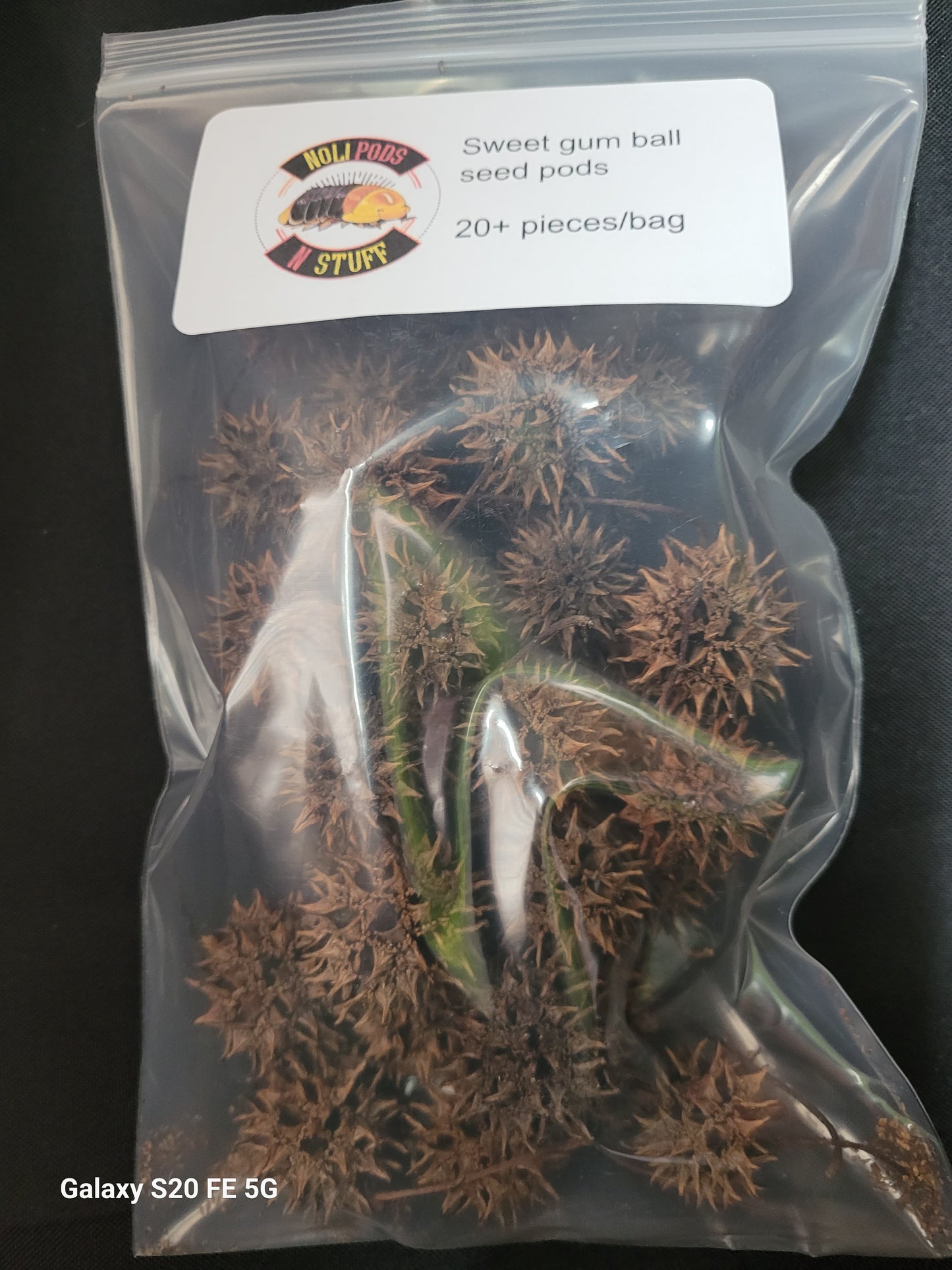 (2) 20+ packs of sweet gum ball seed pods