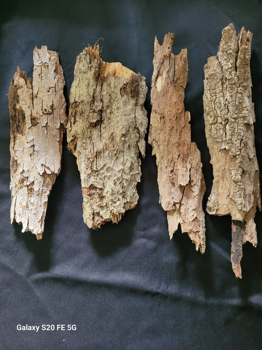 Oak/beech bark